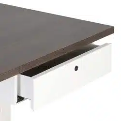 Dit is een multifunctionele lade voor montage onder het bureaublad, voorzien van pennenbakje en cilinderslot. (BxDxH)42x30x12cm.