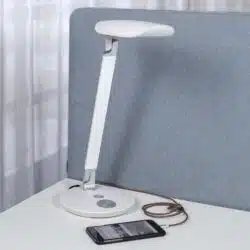 Funkia Led lamp